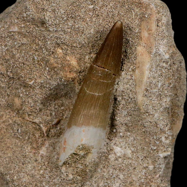 1.9