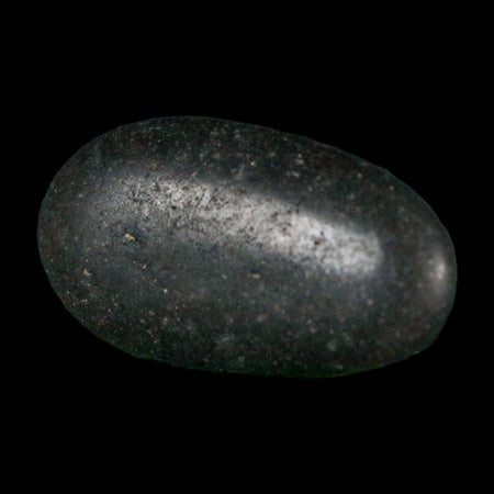 1.1" Sauropod Dinosaur Stomach Stone Gastrolith Rock Gizzard Stone COA