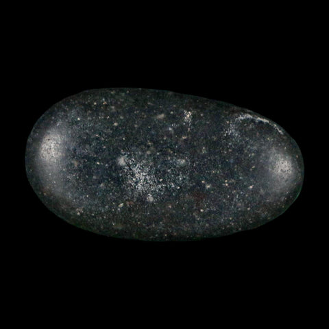 1.1" Sauropod Dinosaur Stomach Stone Gastrolith Rock Gizzard Stone COA