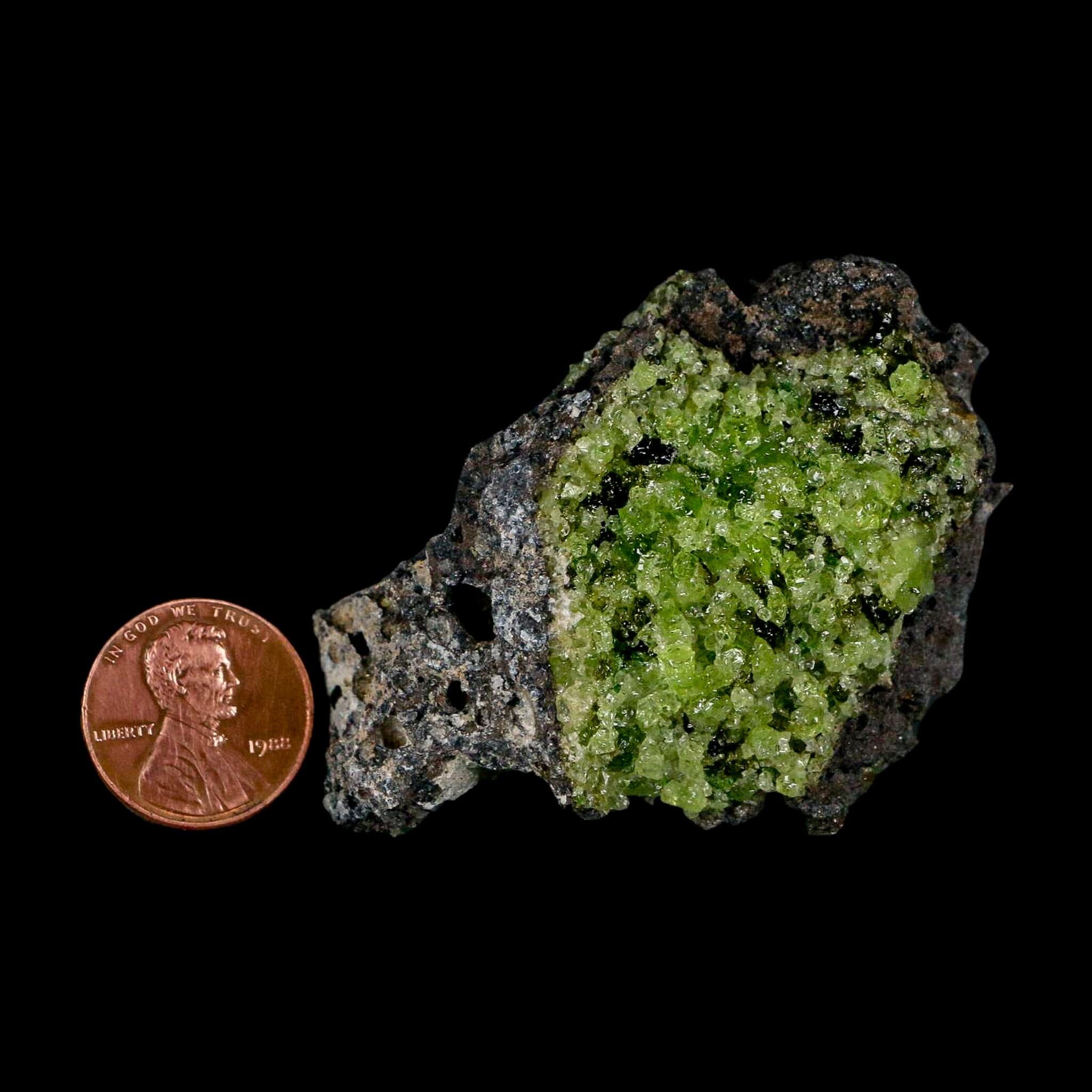 2.5" Emerald Peridot Crystals, Chrome Diopside And Spinel On Volcanic Rock Gila, AZ - Fossil Age Minerals