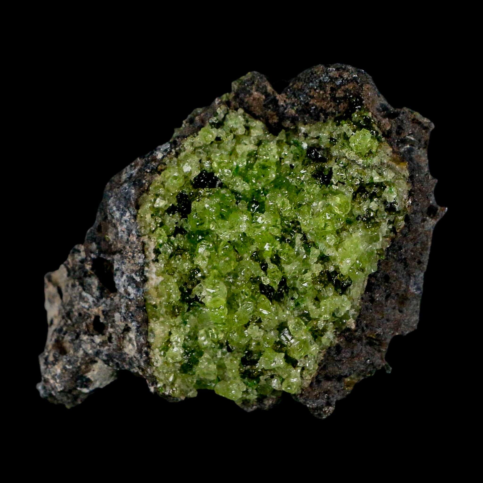 2.5" Emerald Peridot Crystals, Chrome Diopside And Spinel On Volcanic Rock Gila, AZ - Fossil Age Minerals
