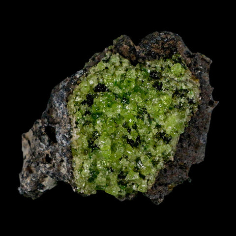 2.5" Emerald Peridot Crystals, Chrome Diopside And Spinel On Volcanic Rock Gila, AZ - Fossil Age Minerals