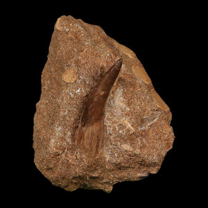 1.7
