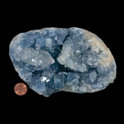 XL 6.1" Sky Blue Rough Celestite Crystal Druzy Cluster Geode 3 LB 14.5 OZ Celestine - Fossil Age Minerals