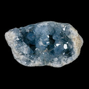 XL 5.8" Sky Blue Rough Celestite Crystal Druzy Cluster Geode 2 LB 3 OZ Celestine