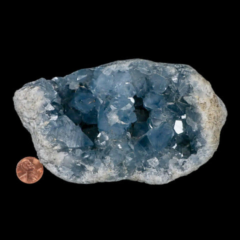 XL 5.8" Sky Blue Rough Celestite Crystal Druzy Cluster Geode 2 LB 3 OZ Celestine - Fossil Age Minerals