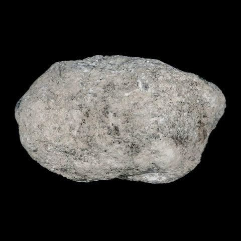 XL 5.8" Sky Blue Rough Celestite Crystal Druzy Cluster Geode 2 LB 3 OZ Celestine - Fossil Age Minerals