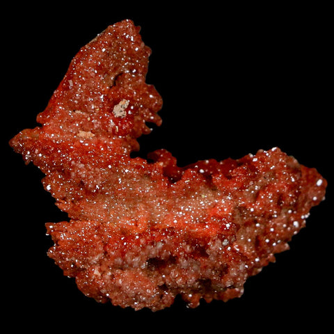 1.8" Sparkly Red Vanadinite Crystals On Orange Barite Blades Mineral Mabladen Morocco - Fossil Age Minerals
