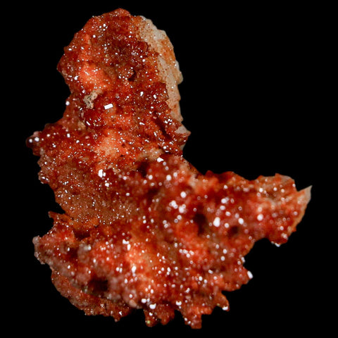 1.8" Sparkly Red Vanadinite Crystals On Orange Barite Blades Mineral Mabladen Morocco - Fossil Age Minerals