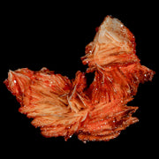 1.6" Sparkly Red Vanadinite Crystals On Orange Barite Blades Mineral Mabladen Morocco