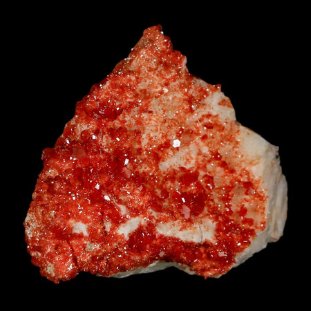 2" Sparkly Red Vanadinite Crystals On White Barite Blades Mineral Mabladen Morocco