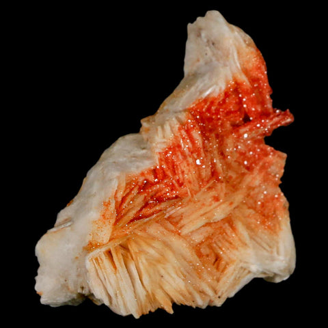 2.1" Sparkly Red Vanadinite Crystals On White Barite Blades Mineral Mabladen Morocco - Fossil Age Minerals