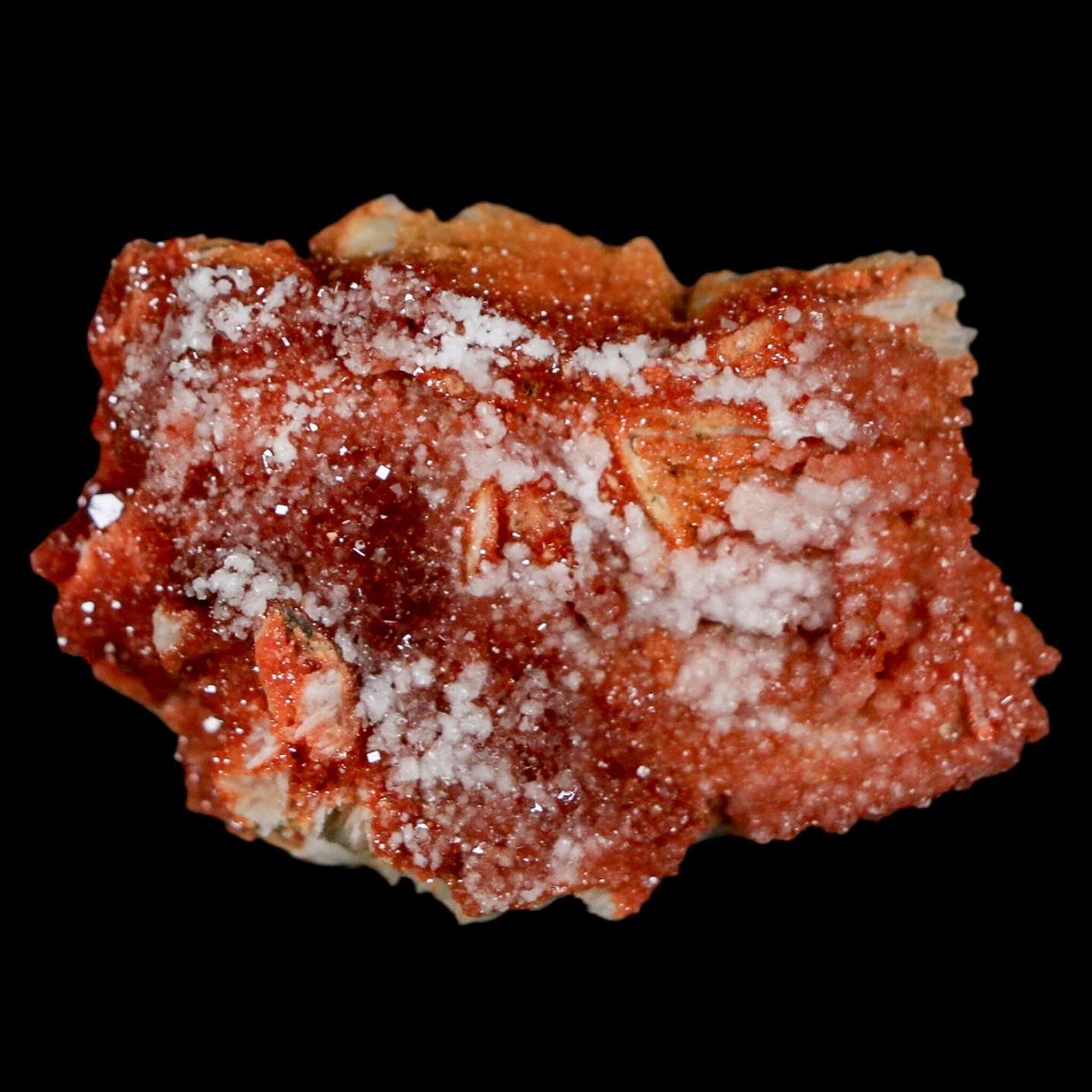 1.8" Sparkly Red Vanadinite Crystals On Orange Barite Blades Mineral Mabladen Morocco - Fossil Age Minerals