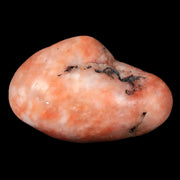 1.5" Sauropod Dinosaur Stomach Stone Gastrolith Rock Gizzard Stone COA