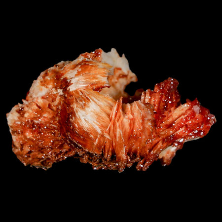 2" Sparkly Red Vanadinite Crystals On Orange Barite Blades Mineral Mabladen Morocco