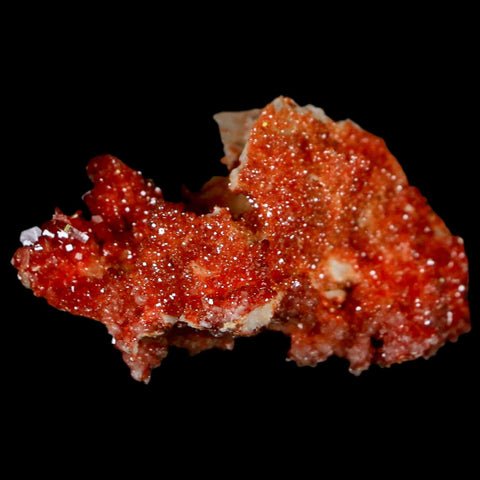2" Sparkly Red Vanadinite Crystals On Orange Barite Blades Mineral Mabladen Morocco - Fossil Age Minerals
