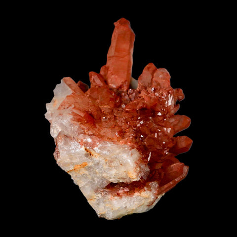 4.6" Natural Red Ferruginous Quartz Crystal Cluster Mineral Specimen Meknes Morocco - Fossil Age Minerals