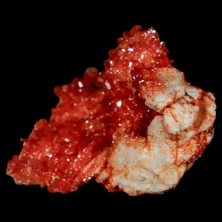 1.8" Sparkly Red Vanadinite Crystals On White Barite Blades Mineral Mabladen Morocco