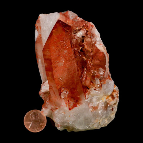 4" Natural Red Ferruginous Quartz Crystal Cluster Mineral Specimen Meknes Morocco - Fossil Age Minerals