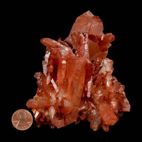 4.1" Natural Red Ferruginous Quartz Crystal Cluster Mineral Specimen Meknes Morocco - Fossil Age Minerals