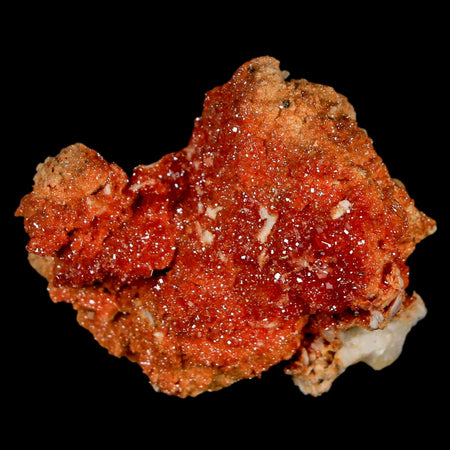 1.6" Sparkly Red Vanadinite Crystals On White Barite Blades Mineral Mabladen Morocco