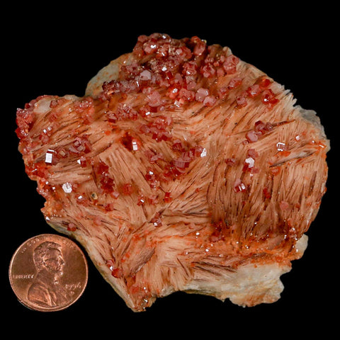 3" Sparkly Red Vanadinite Crystals On Orange Barite Blades Mineral Mabladen Morocco - Fossil Age Minerals
