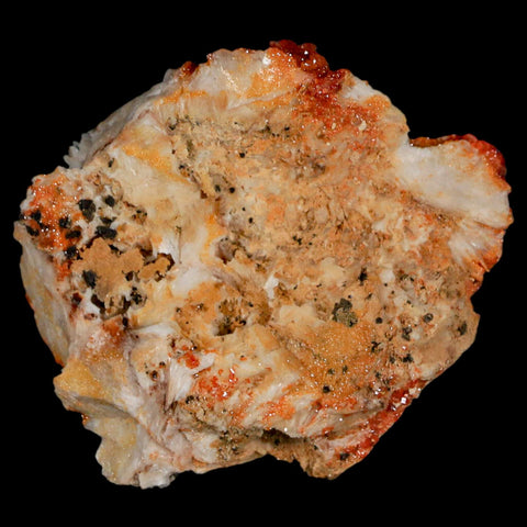 3" Sparkly Red Vanadinite Crystals On Orange Barite Blades Mineral Mabladen Morocco - Fossil Age Minerals