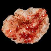 2.9" Sparkly Red Vanadinite Crystals On White Barite Blades Mineral Mabladen Morocco