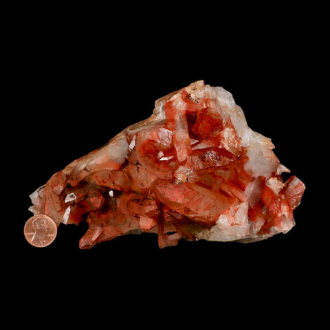 6.1" Natural Red Ferruginous Quartz Crystal Cluster Mineral Specimen Meknes Morocco - Fossil Age Minerals