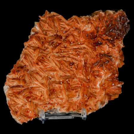 6" Sparkly Red Vanadinite Crystals On Orange Barite Blades Mineral Mabladen Morocco