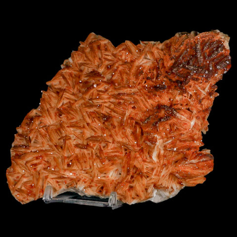 6" Sparkly Red Vanadinite Crystals On Orange Barite Blades Mineral Mabladen Morocco - Fossil Age Minerals