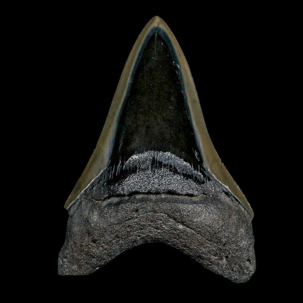 3.6