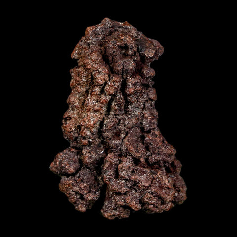 2.2" Prehistoric Coprolite Fossil Specimen Poop Dung Miocene Madagascar - Fossil Age Minerals