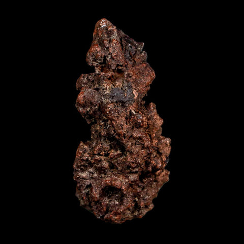 2.5" Prehistoric Coprolite Fossil Specimen Poop Dung Miocene Madagascar - Fossil Age Minerals