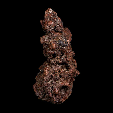 2.5" Prehistoric Coprolite Fossil Specimen Poop Dung Miocene Madagascar - Fossil Age Minerals