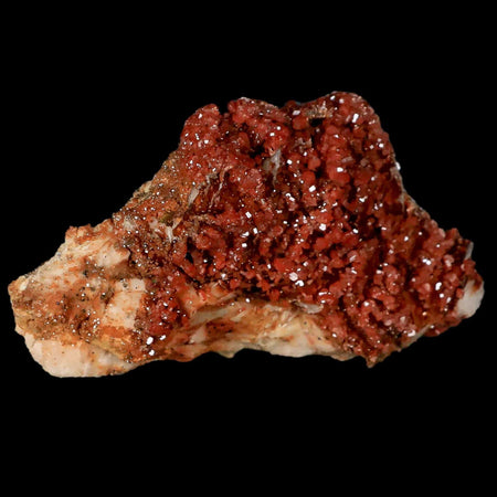 3.1" Sparkly Red Vanadinite Crystals Orange Barite Blades Mineral Mabladen Morocco