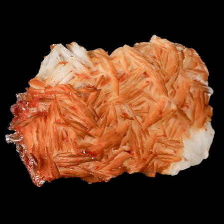 3.1" Sparkly Orange Vanadinite Crystals Orange Barite Blades Mineral Mabladen Morocco