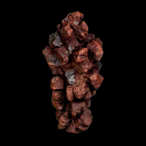 2.1" Prehistoric Coprolite Fossil Specimen Poop Dung Miocene Madagascar - Fossil Age Minerals