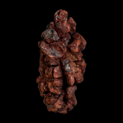 2.1" Prehistoric Coprolite Fossil Specimen Poop Dung Miocene Madagascar - Fossil Age Minerals