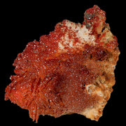 3.4" Sparkly Orange Vanadinite Crystals Orange Barite Blades Mineral Mabladen Morocco