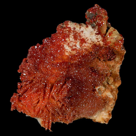 3.4" Sparkly Orange Vanadinite Crystals Orange Barite Blades Mineral Mabladen Morocco