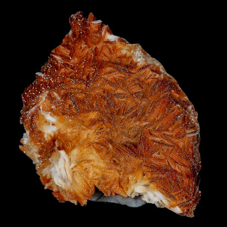 4.5" Sparkly Orange Vanadinite Crystals Orange Barite Blades Mineral Mabladen Morocco