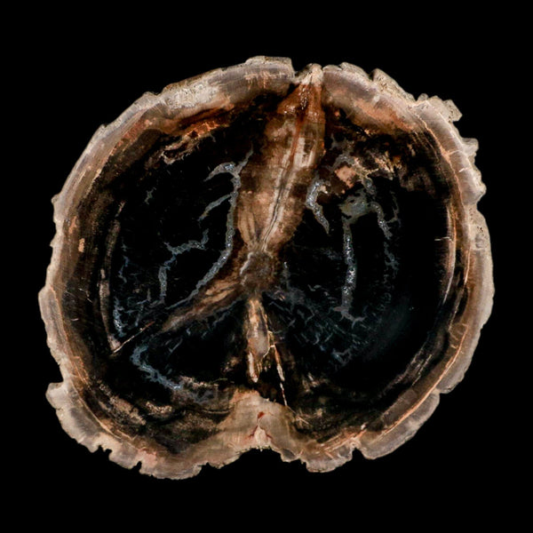 4.2