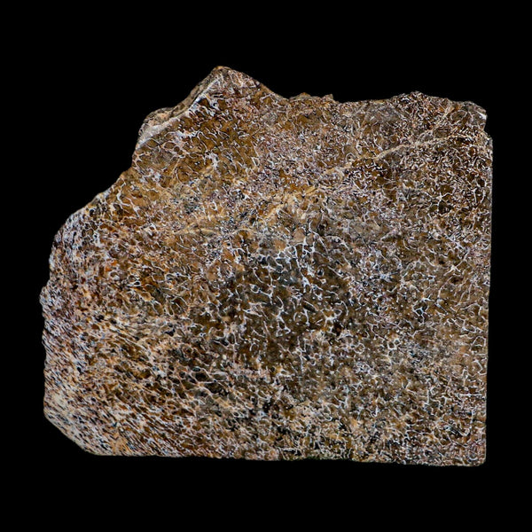 4.1