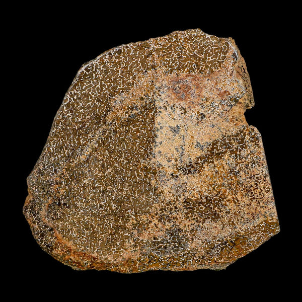 3.4