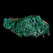 4.4" Dark Green Malachite Crystals On Barite Blades Mineral Specimen Tiznit Morocco