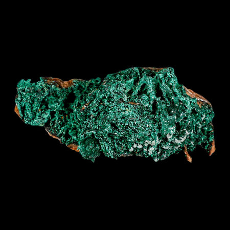 4.4" Dark Green Malachite Crystals On Barite Blades Mineral Specimen Tiznit Morocco