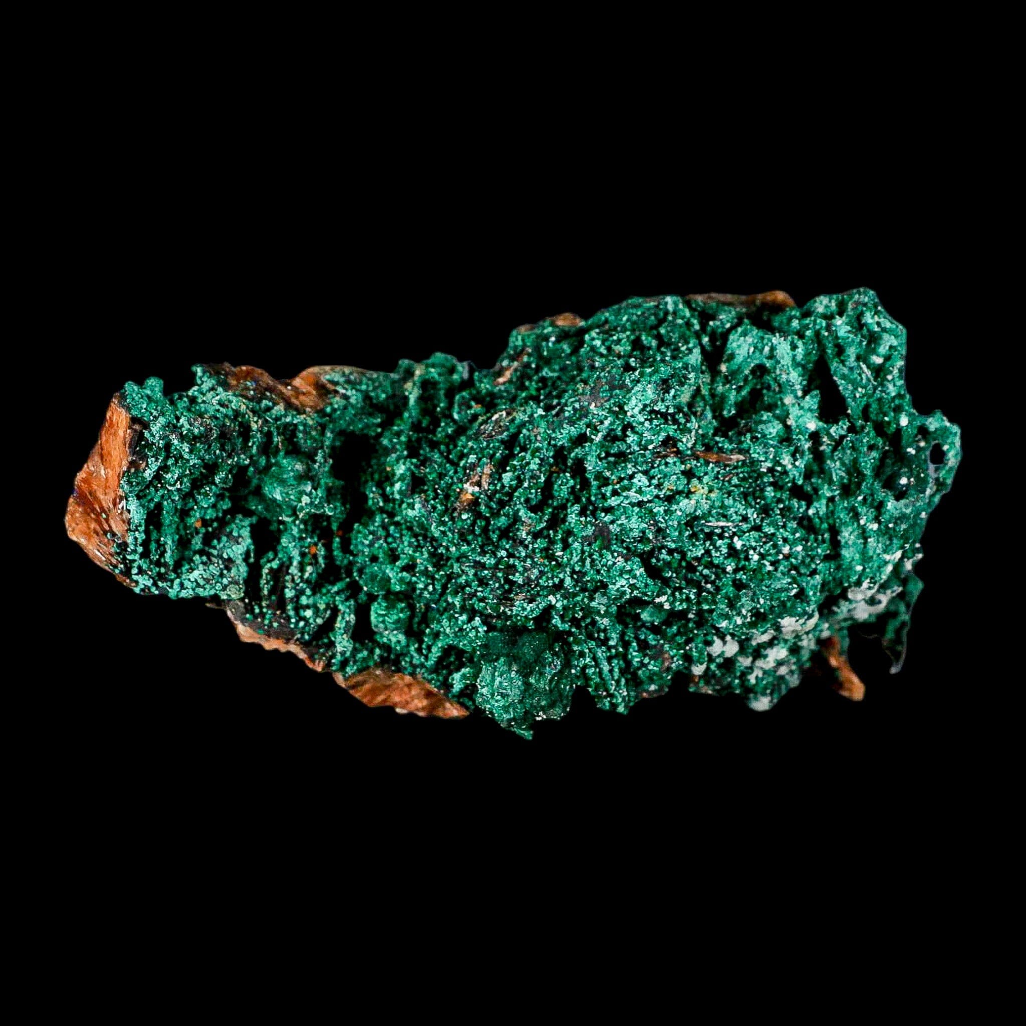 4.4" Dark Green Malachite Crystals On Barite Blades Mineral Specimen Tiznit Morocco - Fossil Age Minerals