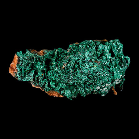 4.4" Dark Green Malachite Crystals On Barite Blades Mineral Specimen Tiznit Morocco