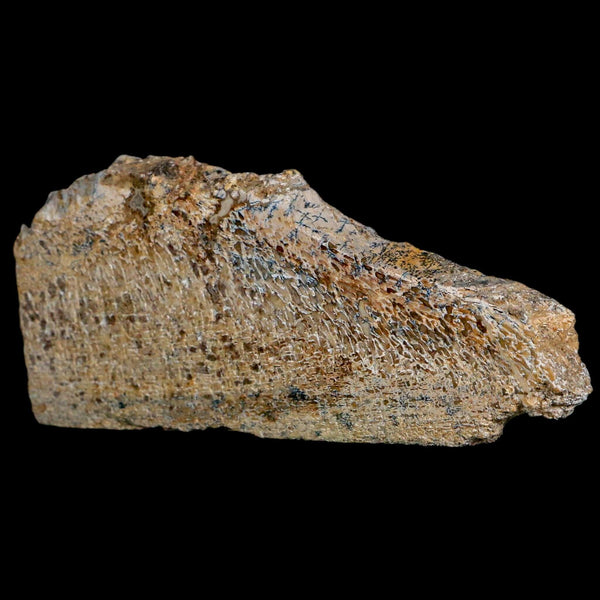 4.6